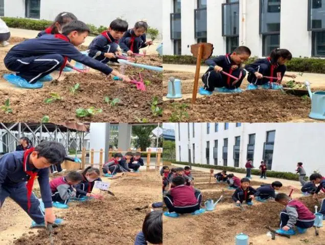 为什么篮球运动员需要学会管理情绪_2